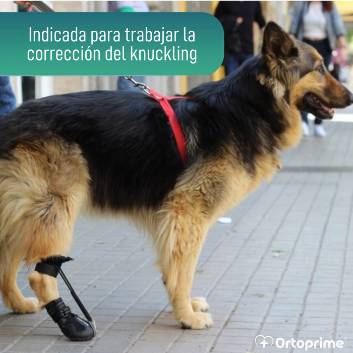 Bota para Corrector Propioceptivo Canino | Suela de Caucho