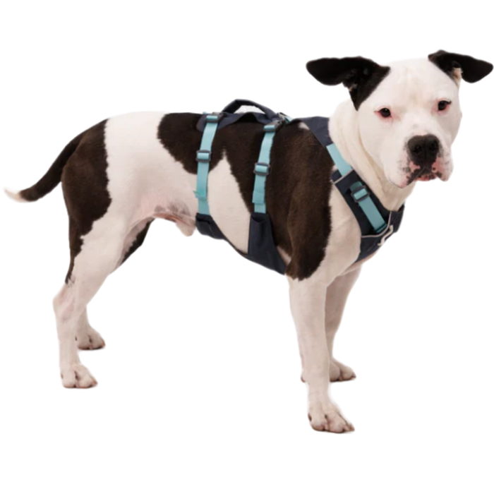 Arnés de Elevación Multiuso Canino | Estructura Resistente