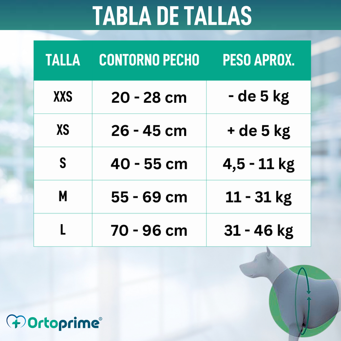 Arnés Canino para Rehabilitación Neurológica | 5 Tallas