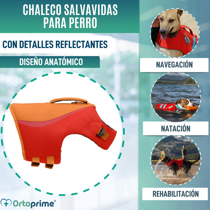 Chaleco Salvavidas Perro Múltiple Uso | Seguridad Acuática
