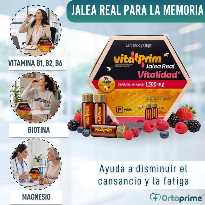 Vitaflor Jalea Real | Intelecto Memoria y Concentración