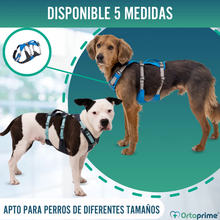 Arnés de Elevación Multiuso Canino | Estructura Resistente