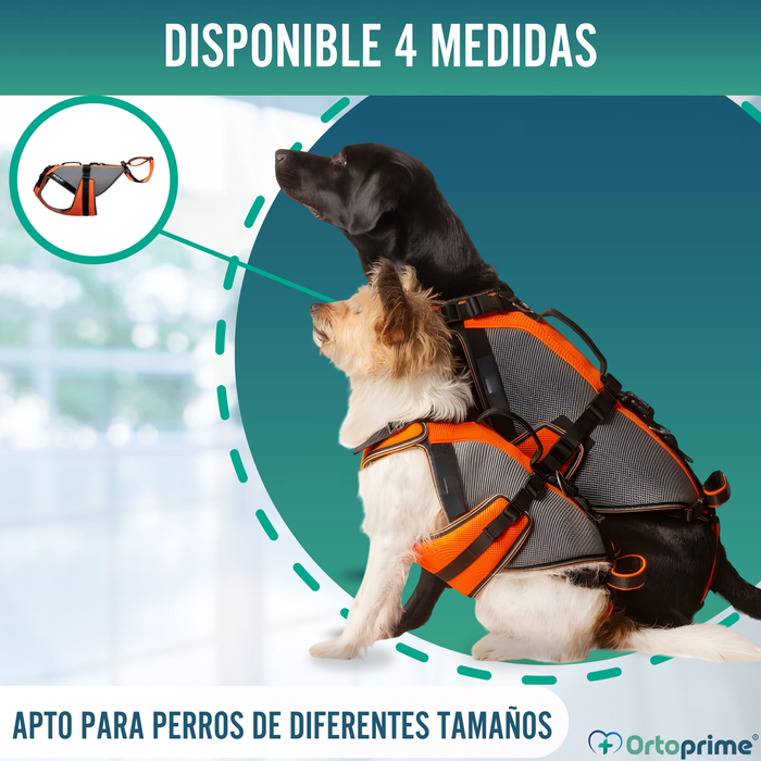 Arnés de Rehabilitación Integral para Perros | Material 3D
