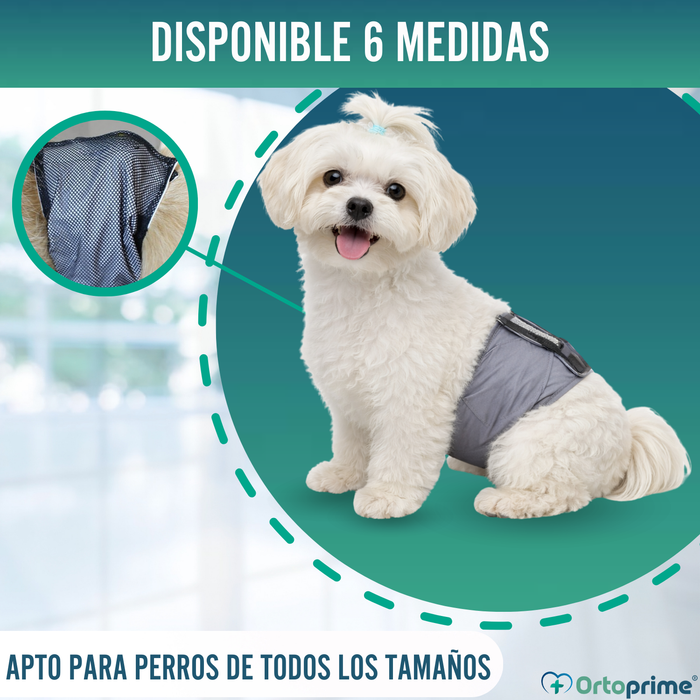 Faja Antigoteo para Incontinencia Canina | Perro Macho