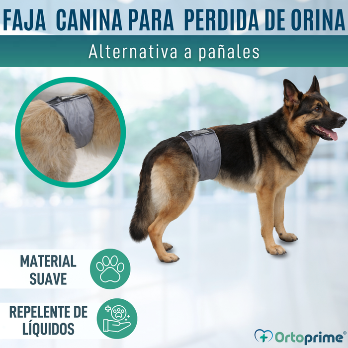 Faja Antigoteo para Incontinencia Canina | Perro Macho