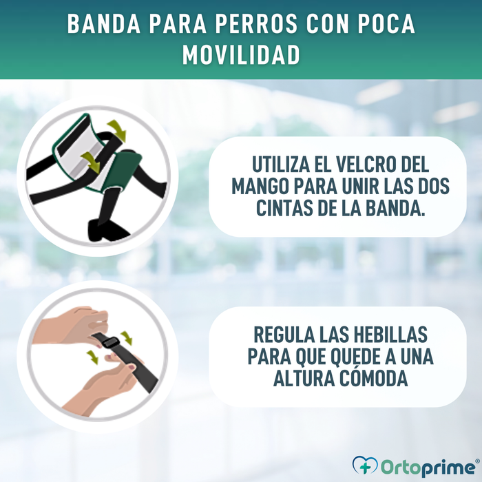 Banda de Ayuda para Perros con Movilidad Reducida | 5 Tallas