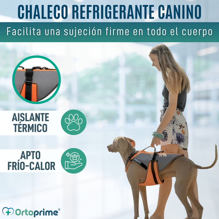 Arnés de Rehabilitación Integral para Perros | Material 3D