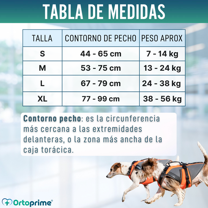 Arnés de Rehabilitación Integral para Perros | Material 3D