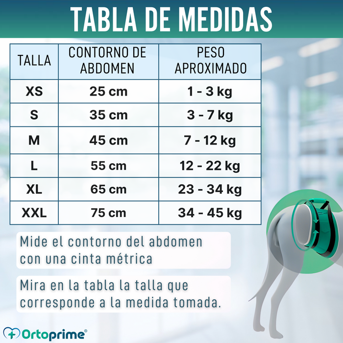 Faja Antigoteo para Incontinencia Canina | Perro Macho