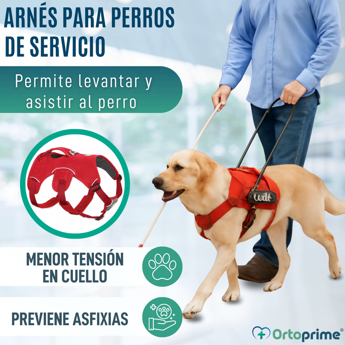 Arnés de Sujeción para Perros de Servicio | 5 Tallas