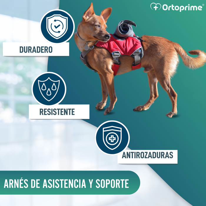 Arnés para Perro de Búsqueda y Rescate | Máxima Resistencia