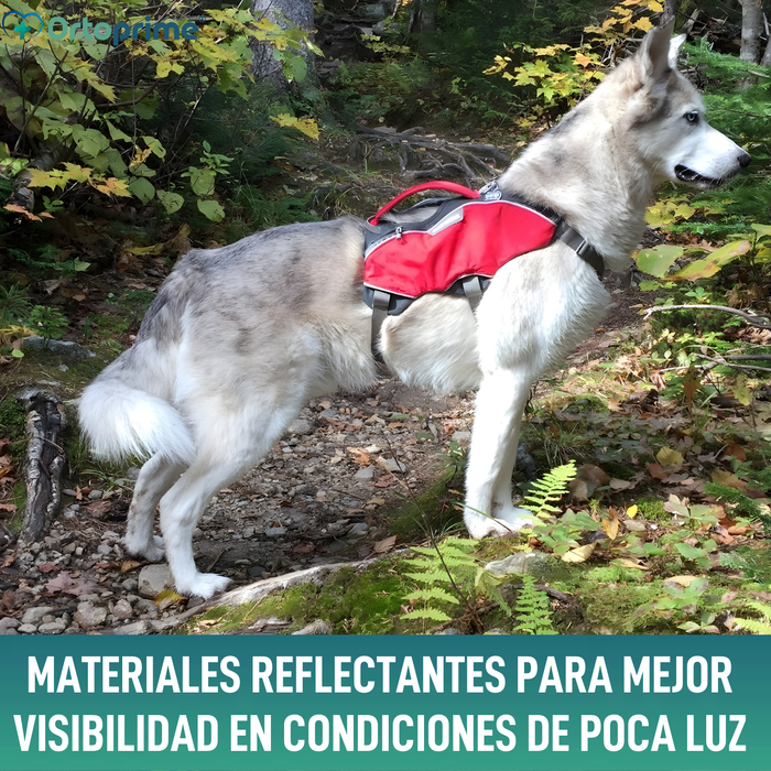 Arnés para Perro de Búsqueda y Rescate | Máxima Resistencia