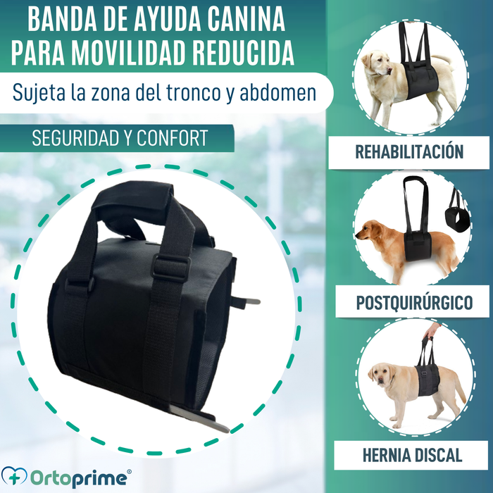 Banda de Ayuda para Perros con Movilidad Reducida | 5 Tallas