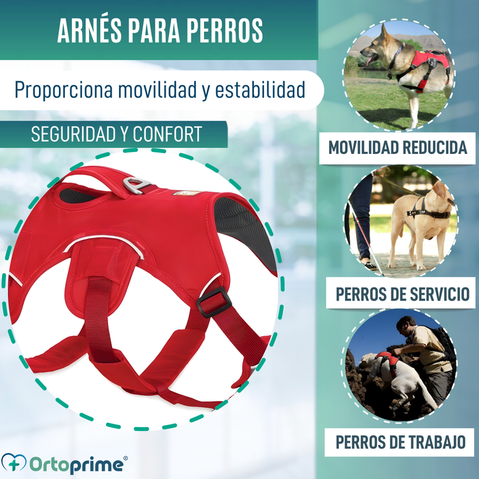 Arnés de Sujeción para Perros de Servicio | 5 Tallas