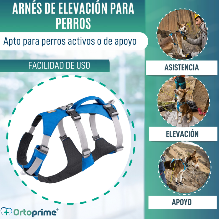 Arnés de Elevación Multiuso Canino | Estructura Resistente