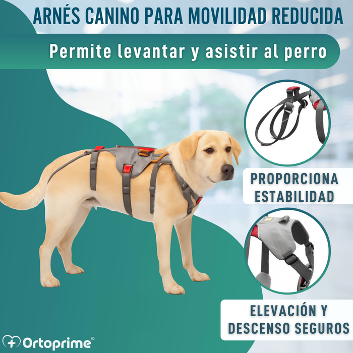 Arnés de Apoyo para Perros de Alpinismo | Máxima Resistencia