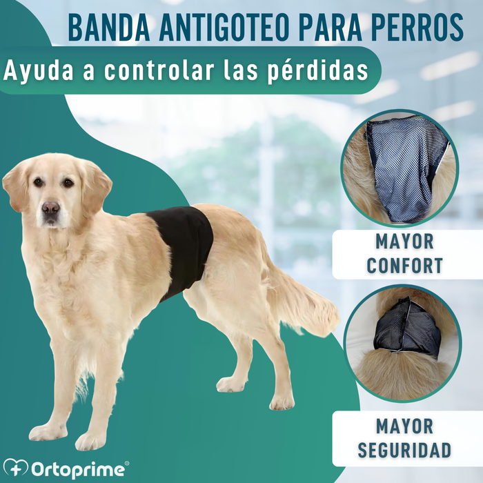 Faja Antigoteo para Incontinencia Canina | Perro Macho