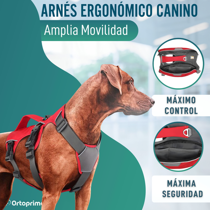 Arnés para Perro de Búsqueda y Rescate | Máxima Resistencia