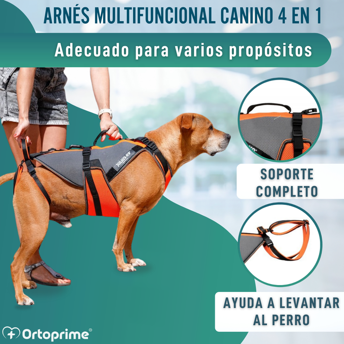 Arnés de Rehabilitación Integral para Perros | Material 3D