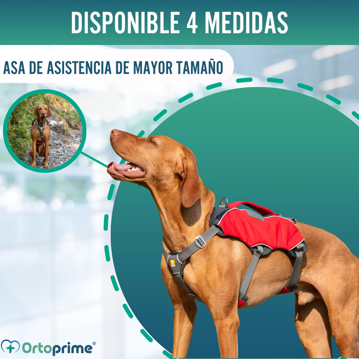 Arnés para Perro de Búsqueda y Rescate | Máxima Resistencia