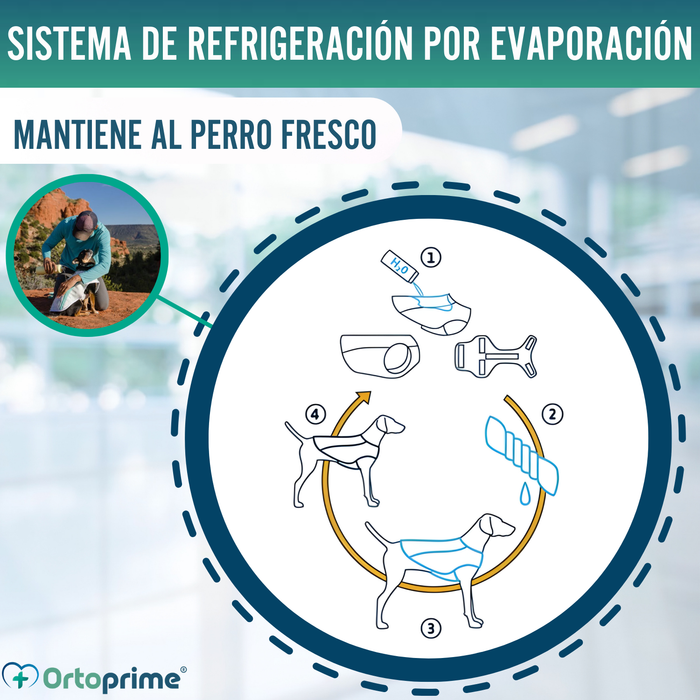 Chaleco de Verano para Perros | Refrigeración Evaporativa
