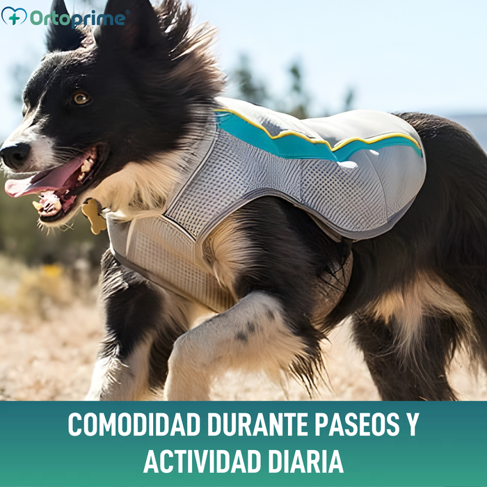 Chaleco de Verano para Perros | Refrigeración Evaporativa