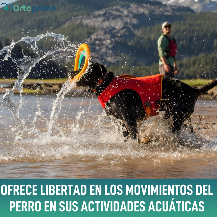 Chaleco Salvavidas Perro Múltiple Uso | Seguridad Acuática