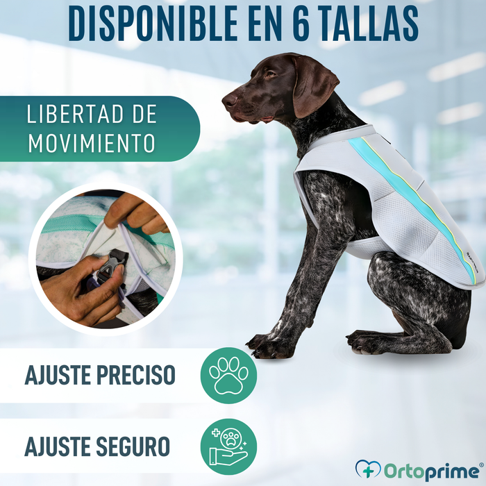 Chaleco de Verano para Perros | Refrigeración Evaporativa