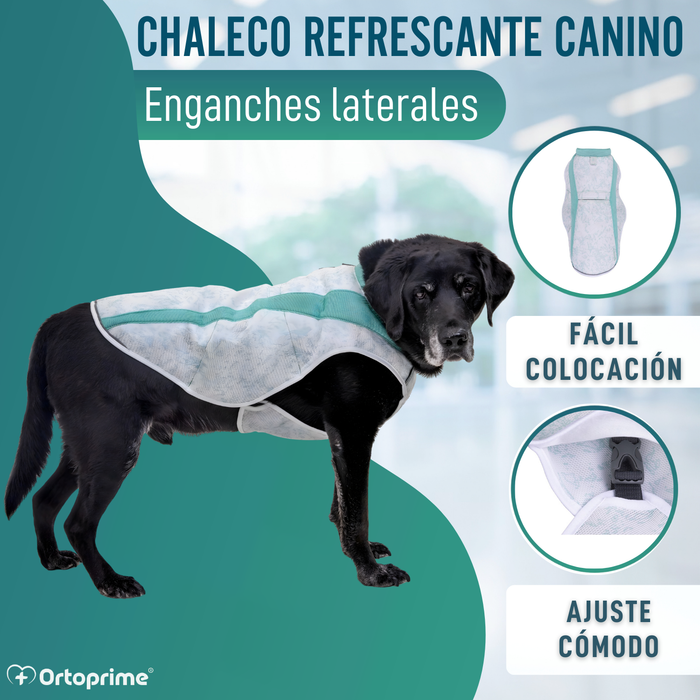 Chaleco de Verano para Perros | Refrigeración Evaporativa