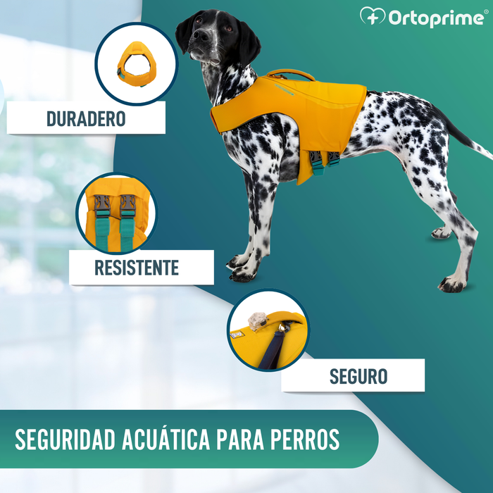 Chaleco Salvavidas Perro Múltiple Uso | Seguridad Acuática
