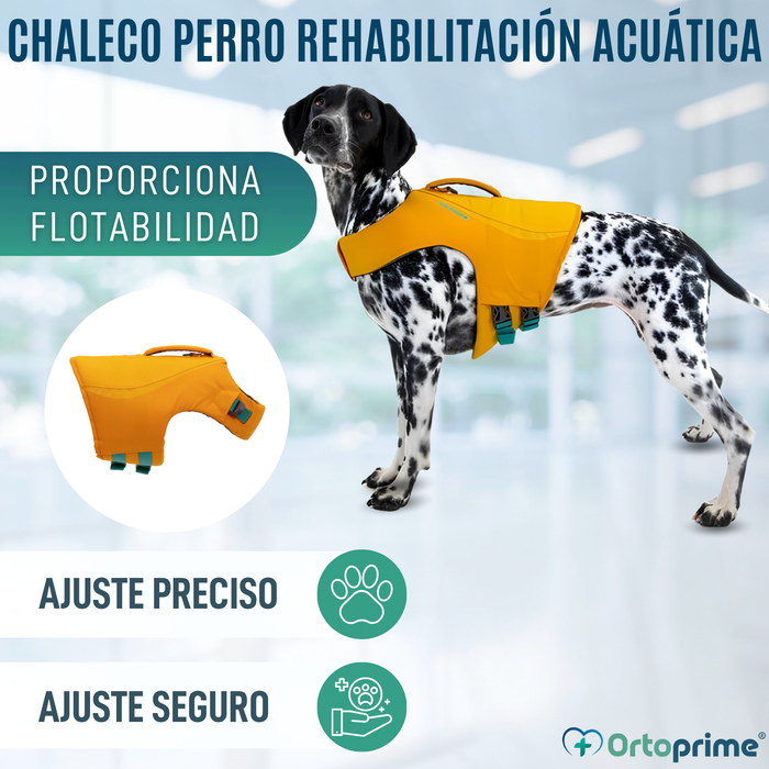 Chaleco Salvavidas Perro Múltiple Uso | Seguridad Acuática