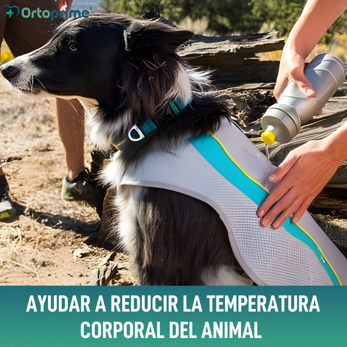 Chaleco de Verano para Perros | Refrigeración Evaporativa