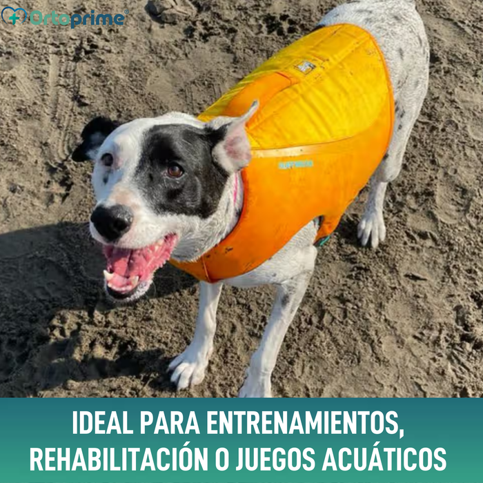 Chaleco Salvavidas Perro Múltiple Uso | Seguridad Acuática