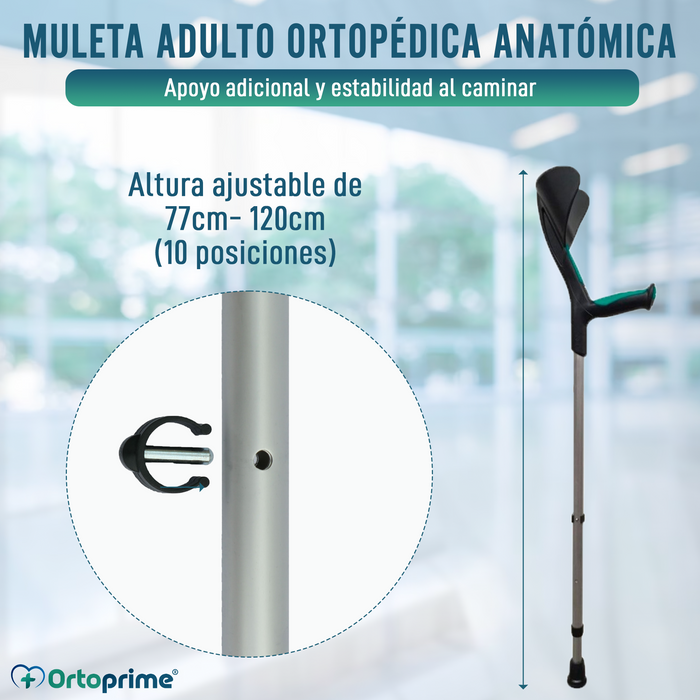 Muletas Regulables Anatómicas Verdes | Pack 2 Unidades