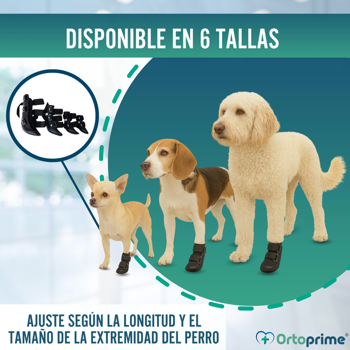 Férula de Bota Corta para Perros con Knuckling | 5 Tallas