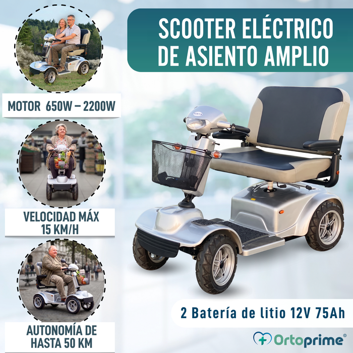 Scooter Eléctrico Minusválido Dúo Cuatro Ruedas Todo Terreno