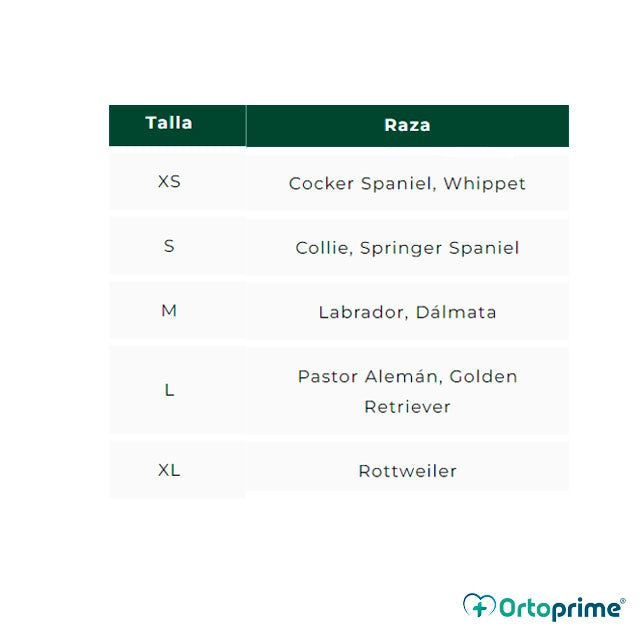 tallas-coderas-ortoprime